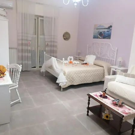 Petra Hercules 住宿加早餐酒店 4*