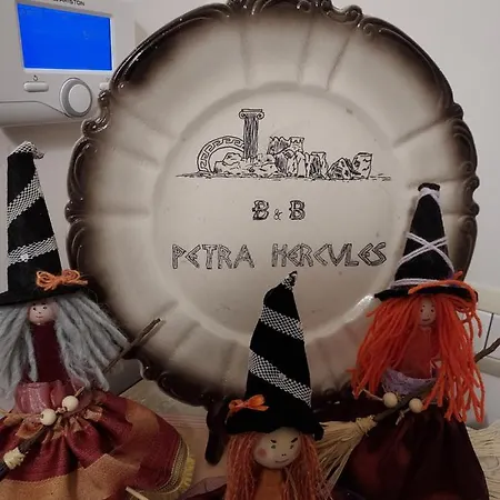 Petra Hercules 住宿加早餐酒店 托雷安农齐亚塔