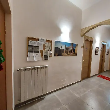 Petra Hercules 住宿加早餐酒店