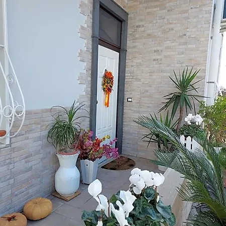 Petra Hercules B&B